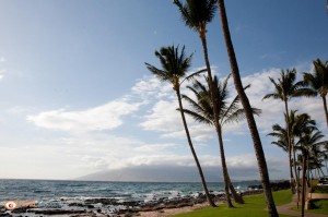 JMP_0446-1834024244-O